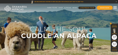 Check out our NEW Shamarra Alpacas WEBSITE